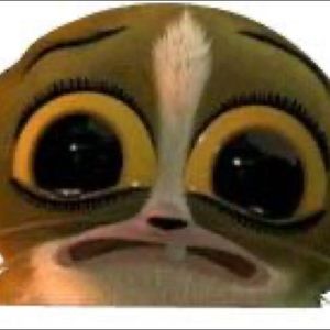 Meet your Posher, Emma jo